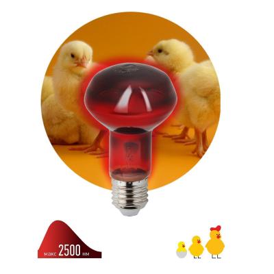 Лампа инфракрасная ЭРА ИКЗК ИКЗК 230-60 Вт R63 Е27