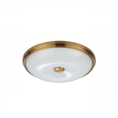 Настенно-потолочный светильник ODEON LIGHT PELOW 4956/4