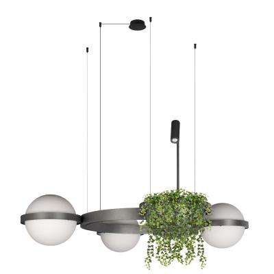 Подвесная люстра Loft it Jardin 10121/3 Dark grey