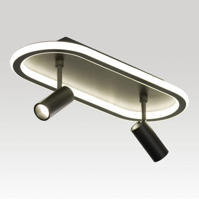Потолочный светильник Lussole Harris LSP-7282