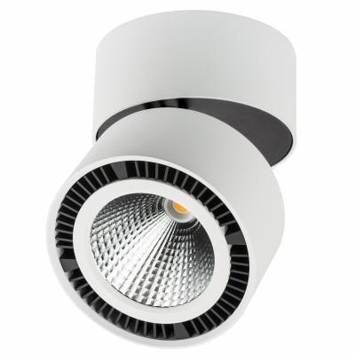 Прожектор Lightstar Forte Muro 213830