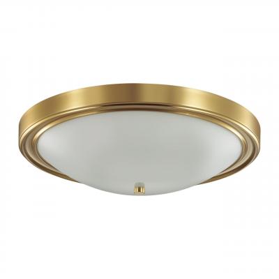 Настенно-потолочный светильник LUMION NINA 5259/4C