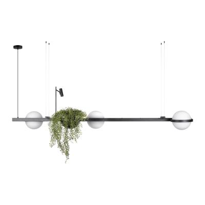 Подвесная люстра Loft it Jardin 10121/C