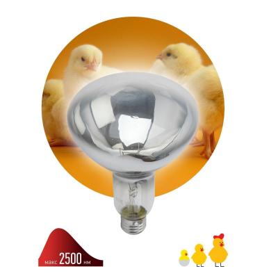 Лампа инфракрасная ЭРА ИКЗ ИКЗ 220-250 R127 E27