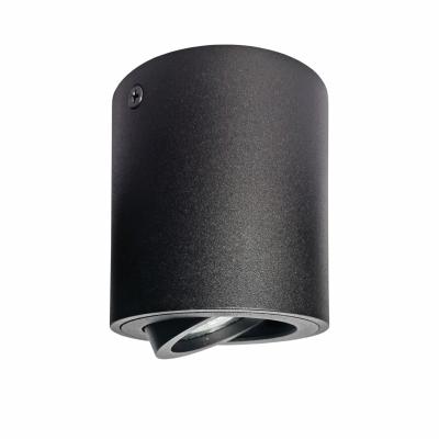 Светильник точечный накладной Binoco Lightstar 052007