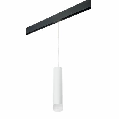 Комплект со светильником Lightstar Rullo PRORP49631