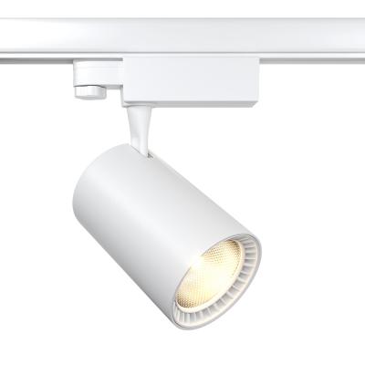 Трековый светильник Maytoni TR029-3-30W3K-W