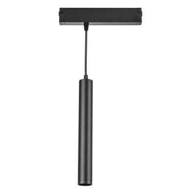 Трековый светильник диммируемый Lightstar Teta 205407