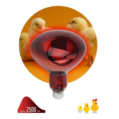Лампа инфракрасная ЭРА ИКЗК ИКЗК 230-150 R127